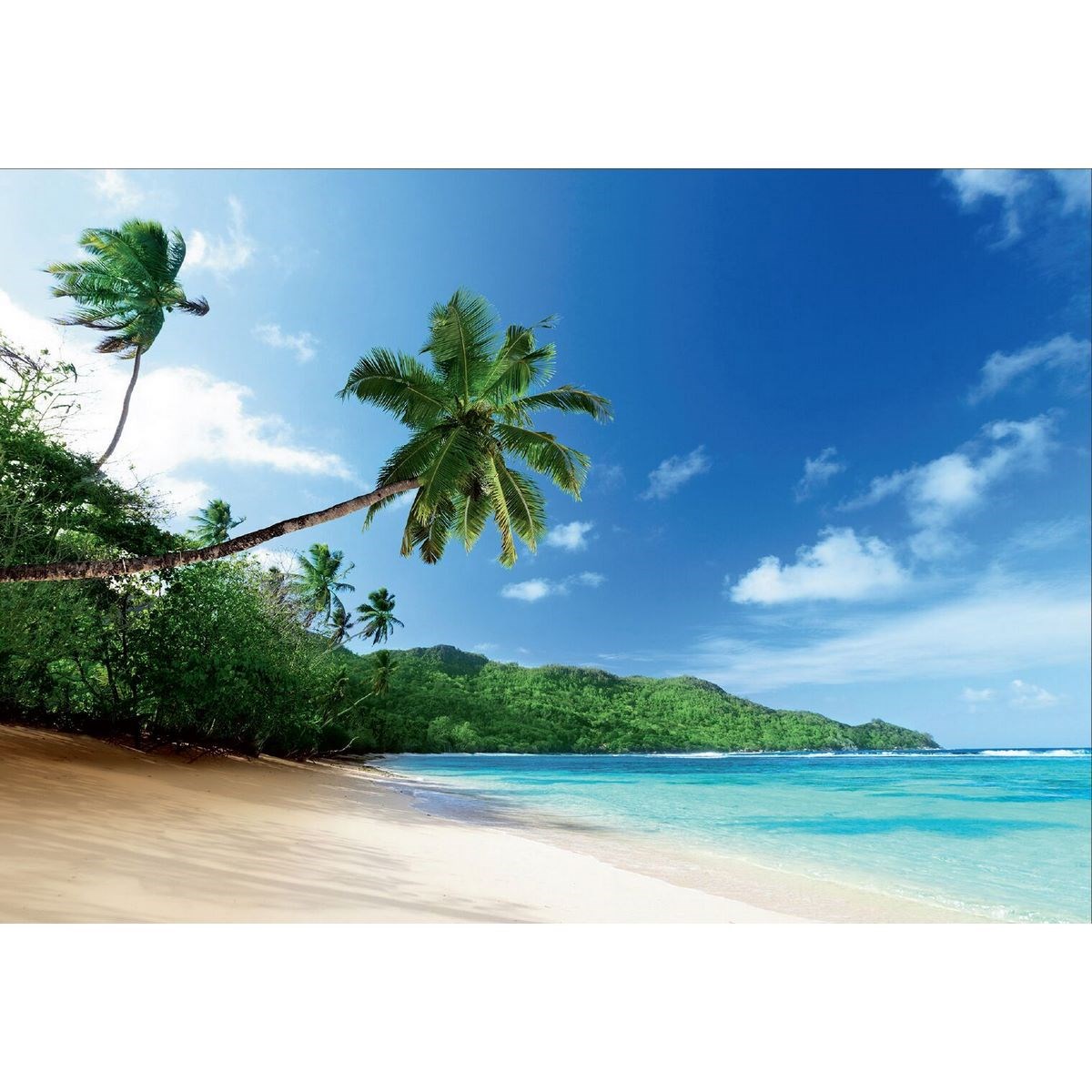 Up and Down Fototapeta XXL Beach, 364 x 252 cm