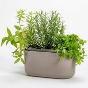 Jardinieră cu auto-irigare Plastia, maro,31 x 16 cm