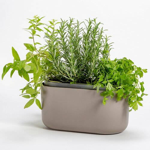 Plastia Samoplačniški sadilnik Tolita rjava, 31 x 16 cm