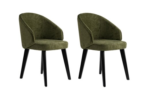 Esszimmerstuhl-Set Bentley Green and Black, 2 Stück