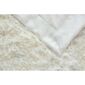 Pătură pufoasă Jerry Fabrics Riccia crem, 230 x 200 cm
