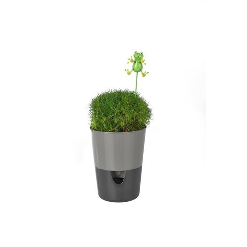 Ghiveci cu auto-irigare Plastia Rosmarin,  gri