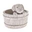 Beton kutyás virágcserép, világosbarna, 17 x 19 cm