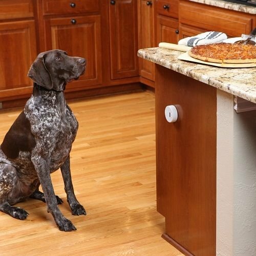 PetSafe® Pawz Away Mini kisállat korlát