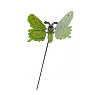 Dekorácia motýlik, zelená