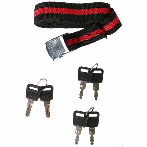 Suport pentru biciclete pe cârlig de remorcare Sixtol E-BIKE 2, 2 biciclete electrice