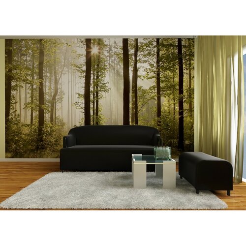 Fototapeta XXL Jutranji gozd 360 x 270 cm, 4 dele