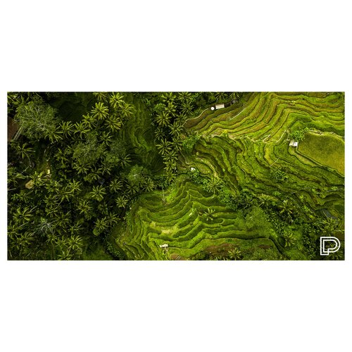 Towee Schnelltrocknendes Badetuch RICE FIELDS , 80 x 160 cm