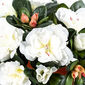 Umělá květina Azalka v květináči bílá, 21 x 10 x 10 cm
