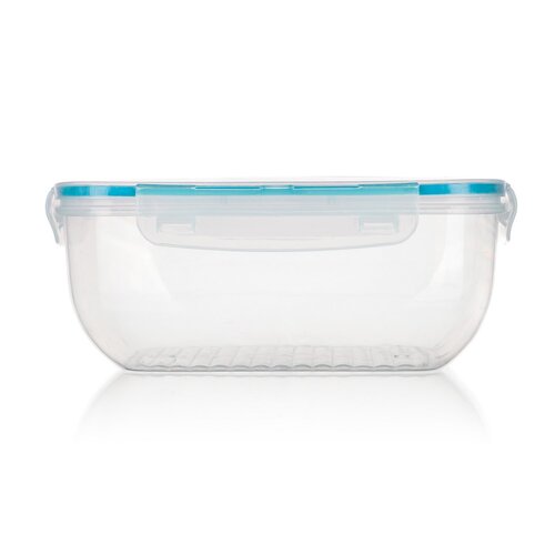Banquet Set of plastic containers with lids Leya,4 pcs