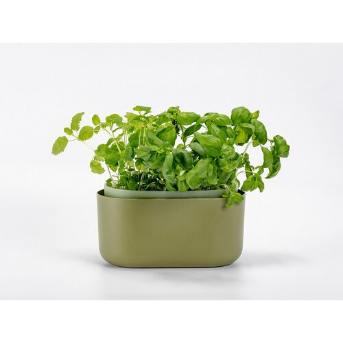 Plastia Selbstbewässernder Pflanzübertopf Tolita grün, 31 x 16 cm