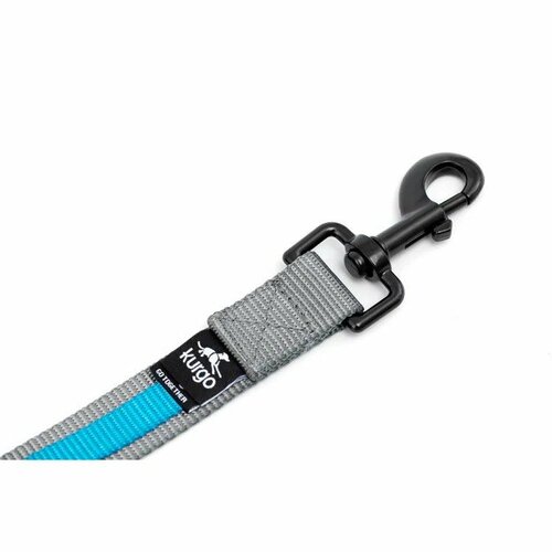 Kurgo® Quantum 2.0 Vodítko pro psy, modrá