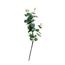 Umetno steblo evkaliptusa zelene barve, 67 cm