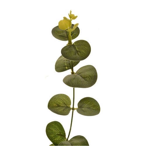 Sztuczna łodyga Eukaliptusa zielony, 67 cm
