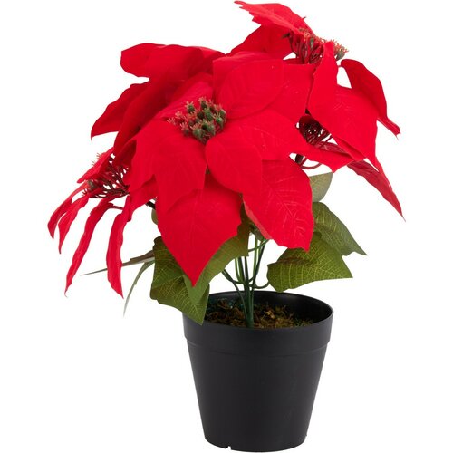 Műkarácsonyi virág Poinsettie cserépben, 25 x 30cm