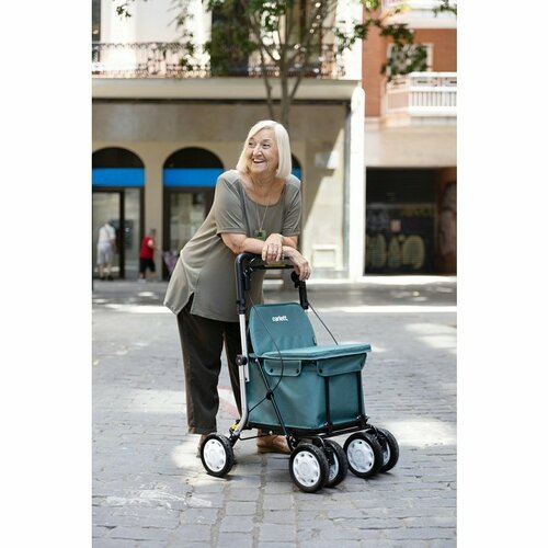 Carlett Senior Assist cadru pentru cumpărături curoți 38 l, albastru-verde