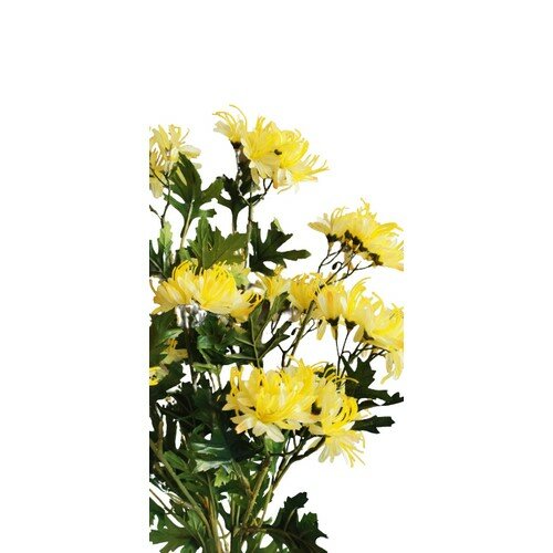 Umělá chryzantéma drobnokvětá, v. 75 cm, sada 2 ks