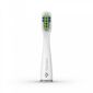 TrueLife csere SonicBrush Slim-sorozatú fejek , 2db