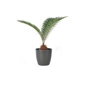 Plastia Plastový obal na kvetináč Perla 16 cm, antracit
