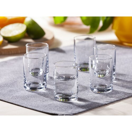 Altom 6-teiliges Schnapsgläser-Set für Wodka 50 ml