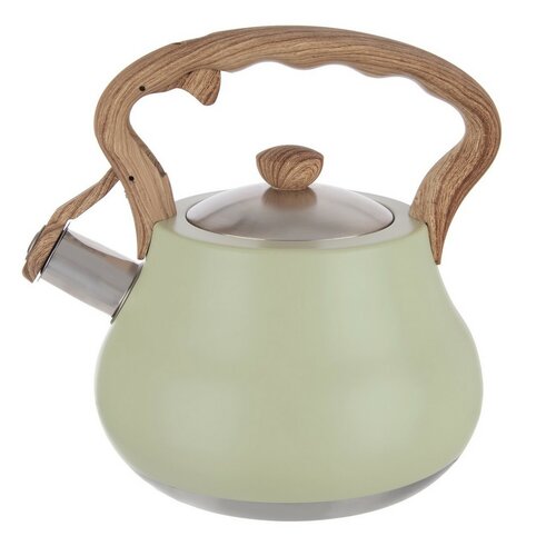 Orion Teekessel mit Pfeife Greenish, 3 l