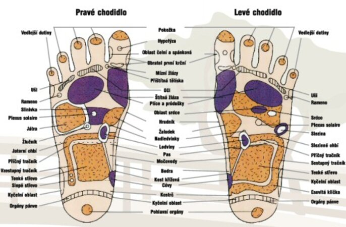 Akupressur-Massage-Pad mit Magneten, Grüngrün  ,