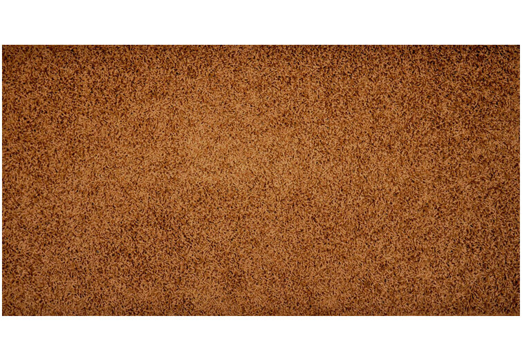 Kusový koberec Elite Shaggy hnědá, 120 x 160 cm