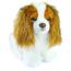 Rappa Plišasti pes King Charles Spaniel, 25 cm