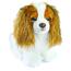 Rappa Pluszowy pies spaniel King Charles, 25 cm