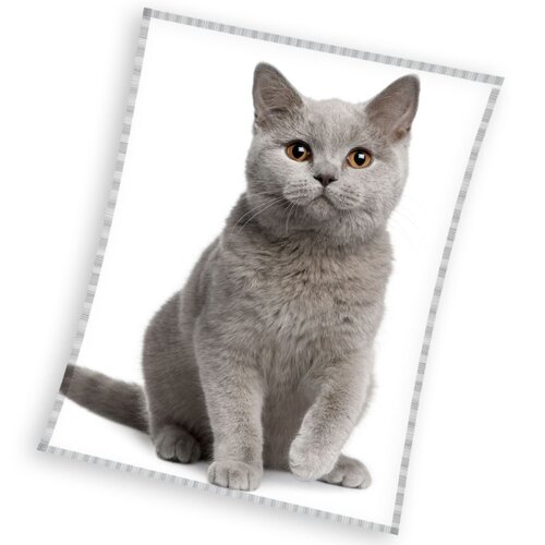 Mikroplyšová deka Britská kočka šedá, 150 x 200 cm