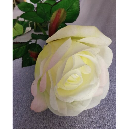 Sztuczna róża, biały, 69 cm
