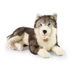 Rappa Plyšový pes husky ležiaci 60 cm