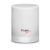 Vigan Mammoth BR2 hangszóró Bluetooth funkcióval Vigan Mammoth BR2 hangszóró Bluetooth funkcióval