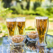 4Home termo steklenica za pivo Hot&amp;Cool 500ml, 1 kos