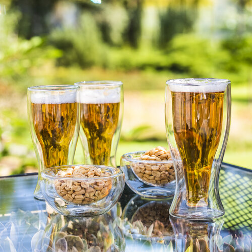4Home termo steklenica za pivo Hot&amp;Cool 500ml, 1 kos