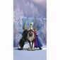 Detský záves Ľadové kráľovstvo Frozen, 140 x 245 cm