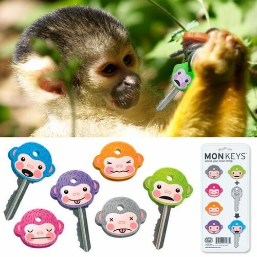 Rozlišení na klíče - opice