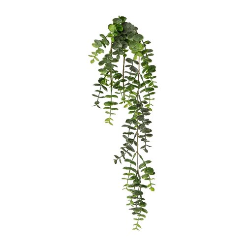 Umetna rastlina Eucalyptus viseča, 63 cm, zelena