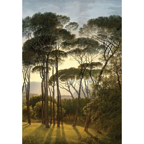 Fototapet Old Trees 180 x 255 cm, 2 părți