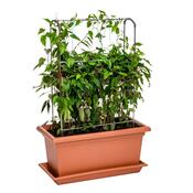 Gardenico Velkoobjemový truhlík Magnus terakota,80 cm