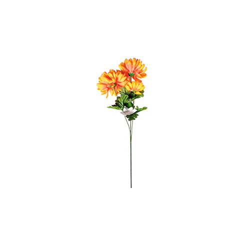 Polno cvetoča krizantema, 3 cvetovi, v. 58 cm