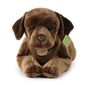 Rappa Pluszowy pies labrador 61 cm ECO - FRIENDLY