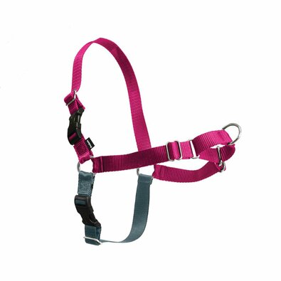 PetSafe Шлейка EasyWalk малиновий M