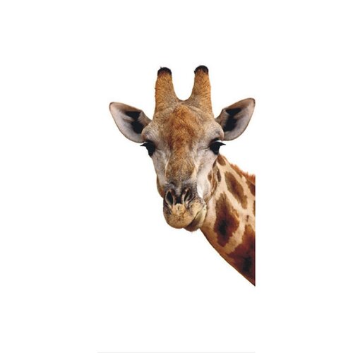 Fototapeta žirafa 90 x 202 cm