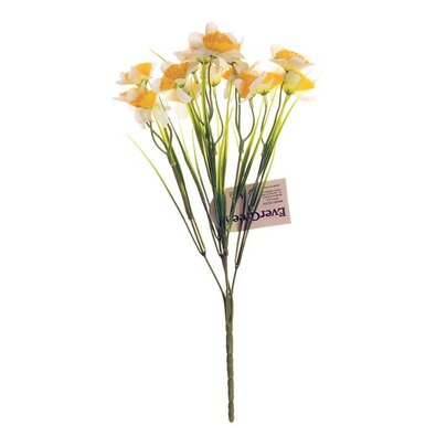 Narcis žluto-bílý, kytice s 15 květy, v. 32 cm