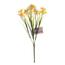 Narcis žlto-biely, kytica s 15 kvetmi, v. 32 cm