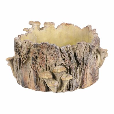 Beton burkolat - tusk with mushrooms, 32 x 29 x 16cm
