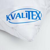 Kvalitex Polštář Aloe Vera se zipem 300 g, 40 x 40 cm