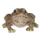 Gartendekoration Frosch, 10 x 6 x 8 cm, Polyresinbraun  ,