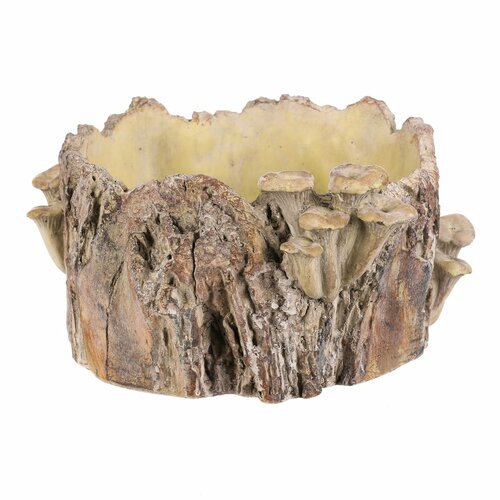 Beton burkolat - tusk with mushrooms, 32 x 29 x 16cm